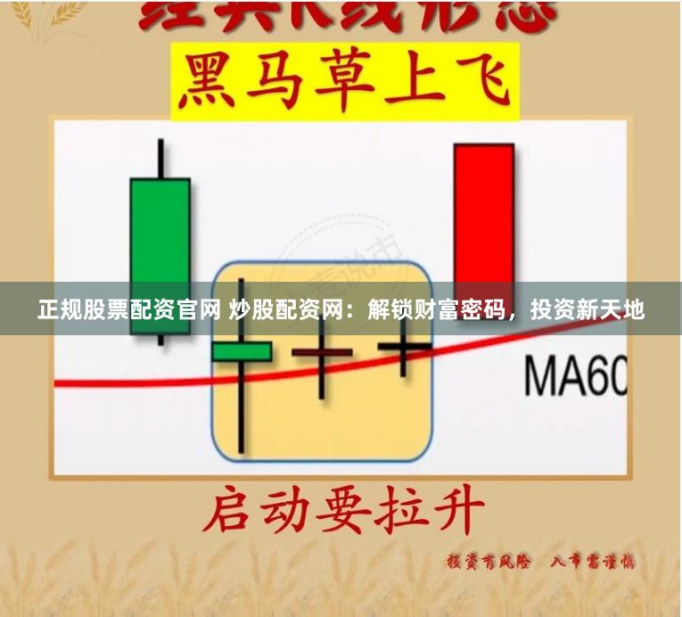 正规股票配资官网 炒股配资网：解锁财富密码，投资新天地
