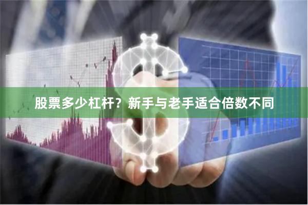 股票多少杠杆？新手与老手适合倍数不同